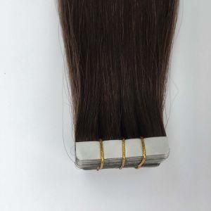 4# Straight PU Tape Skin Weft Brazilian Virgin Remy Human Hair Extensions