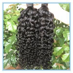 Top Quality Unprocessed Natural Black Deep Curly 8A Grade Peruvian Human Hair in Full Cuticle Cut From One Donor with Factory Price Wfp-041