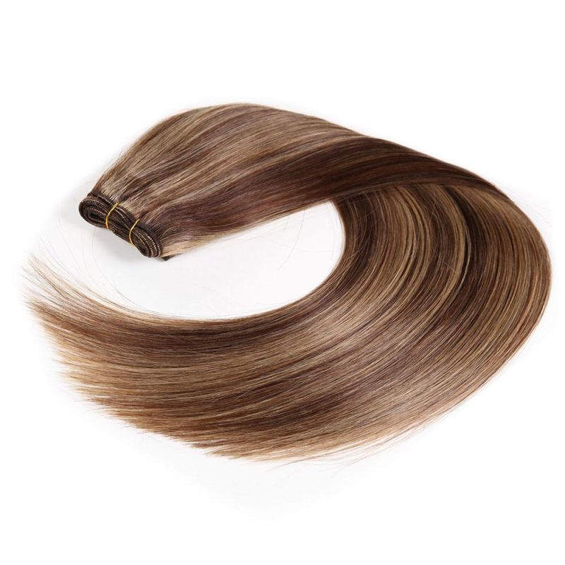 Highlight Remy Human Hair Extensions, Human Hair Weft
