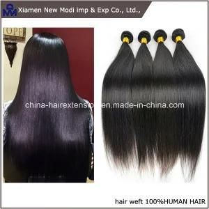 Brazilian Virgin Human Hair Hair Weave