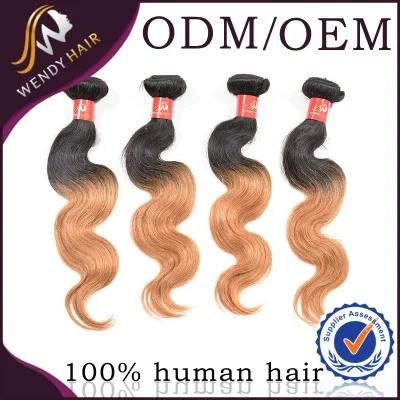 100% Unprocessed Virgin Peruvian Human Hair Ombre Color
