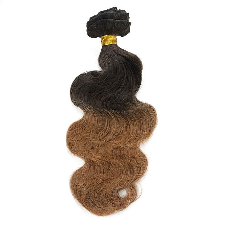100% Brazilian Virgin Human Hair Body Wave Human Hair Clip in Extensions #T2/30
