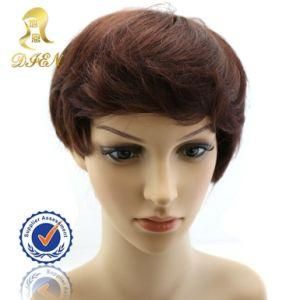 Malaysian Natural Straight Human Hair Wig