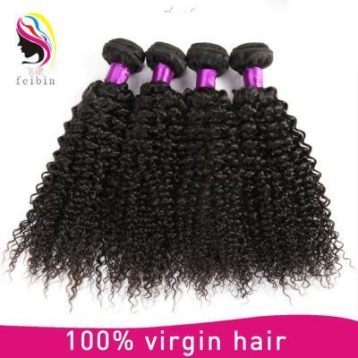 Wholesale Price Cheap Peruvian 100% Human Virgin Hair Afro Kinky Curl