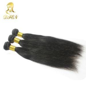 Raw Human Hair Suppliers of Hair