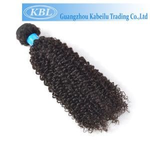Kabeilu Natural Raw Virgin Russian Hair Apply, Cuticle Aligned Hair From India, Virgin Human Hair From Very Young Girls
