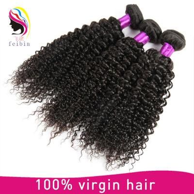 Cheap Virgin Raw Kinky Curl Brazilian Virgin Human Hair Extension