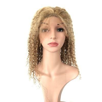 Factory Wholesale Brazilian Virgin Hair Kinky Curly Human Hair Wigs