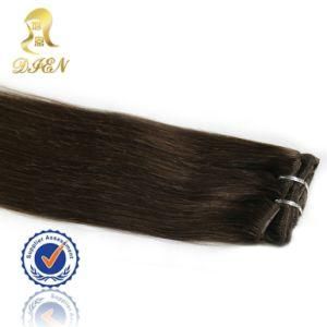 Factory Direct Sale Indian Clip on Hair Extension