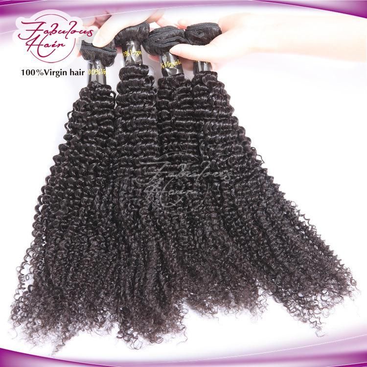 Hair Weft Promotion Price Coming Christmas Kinky Curly Brazilian Hair