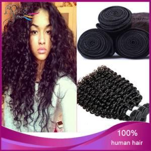 Brazilian Human Hair Kinky Curly Hair Extension