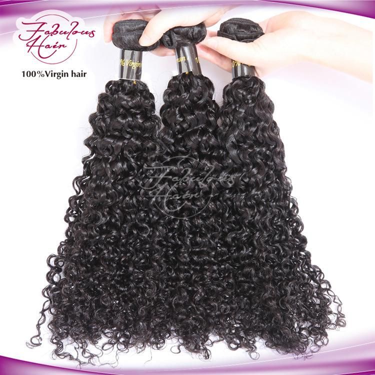 Virgin Brazilian Curly Wave Hair Weaving