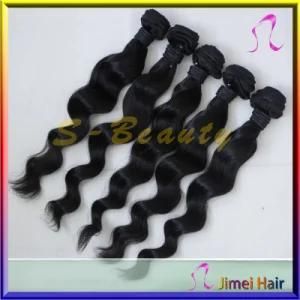 100% Malaysian Virgin Remy Hair Weaving, Luxurious Loose Wave (SB-M-LW)