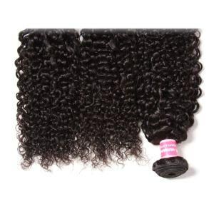 Pb Indian Virgin Curly Hair Weave Cuticle Aligned Human Hair Weave