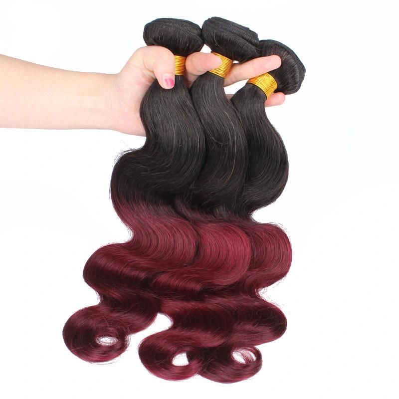 Wholesale Unprocessed 100% Brazilian Human Hair Color 1b 99j