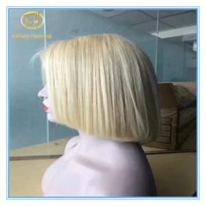 Top Quality Hot Sales #613 Color Bob Human Hair Lace Wigs with Factory Price Wig-018