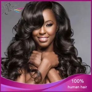 Unprocessed Human Hair New Style Full Lace Wigs