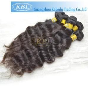Natural Zury Braided Human Hair Wigs, European Hair Weft 26&prime;&prime;