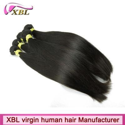 New Arrival Fashion Pure Virgin Straight Brazilian Human Hair