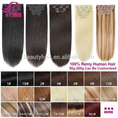 100% Brazilian Remy Hair Clip in/on Human Hair Extensions