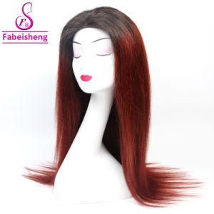 Wholesale Brazilian Hair Wigs, 10A Grade Brazil Human Hair Colored Wigs