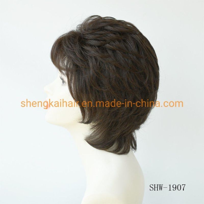 Wholesale Premium Quality Fashion Short Hair Length Full Handtied Human Hair Synthetic Hair Mix Hair Wig