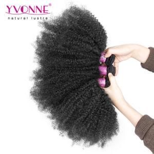 4c Wholesale Price Afro Kinky Curly Brazilian Human Hair