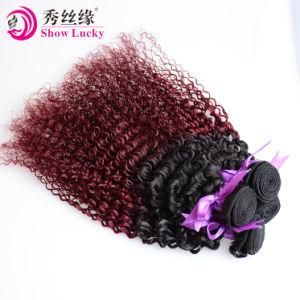 Wholesale Cheap Price Ombre Human Hair Weaves 100% Unprocessed Brazilian Virgin Hair Extension Kinky Curly