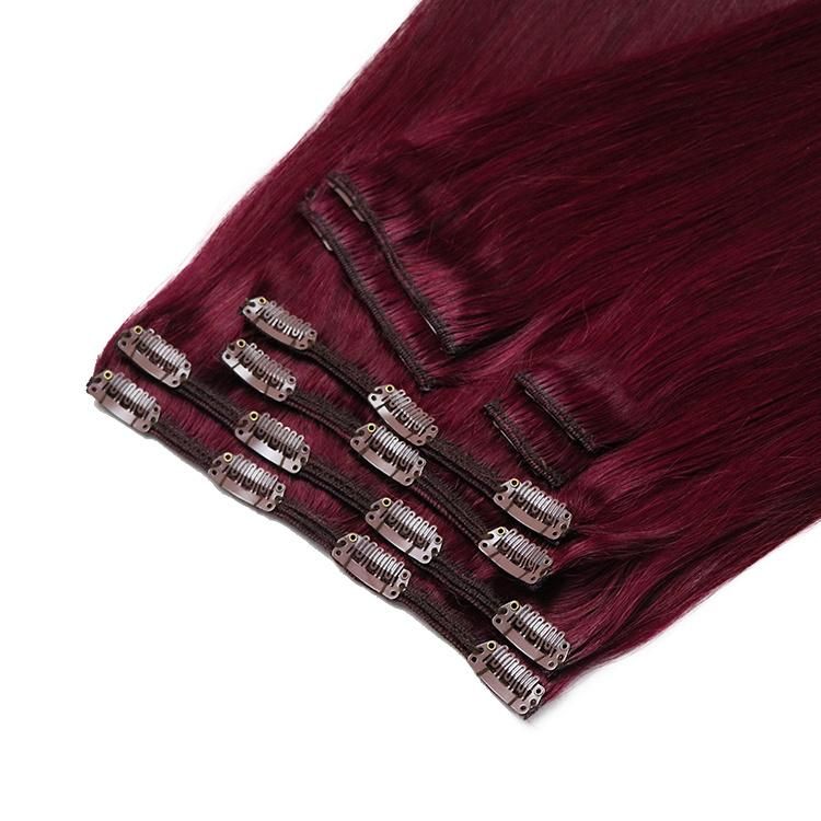 Indian Cuticle Aligned Human Hair Straight Clip in Hair Extensions #35