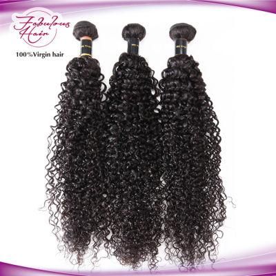 Wholesale Factory Price 10&quot;-32&quot; Length Virgin Brazilian Curly Hair