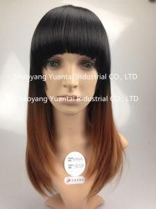 Ombre (Black/ Blond) Straight Synthetic Hair Wig / Human Hair Feeling