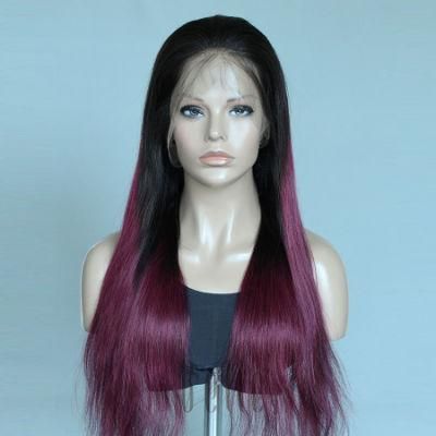 Free Parting 100% Human Long Hair Beauty Lace Front Wig