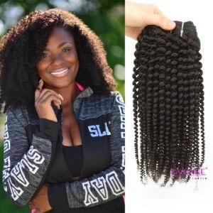 New Arrival 4b 4c Kinky Coily Brazilian Human Hair Weave