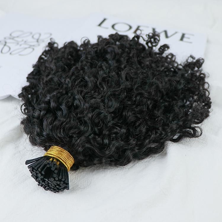 Wholesale Virgin Remy Curly I Tip Hair Extension Cuticle Aligned Raw Burmese Hair