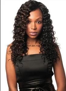China Human Hair Wig Brazilian Lace Wigs