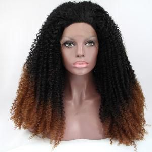 Wholesale Synthetic Hair Lace Front Wig (RLS-191)