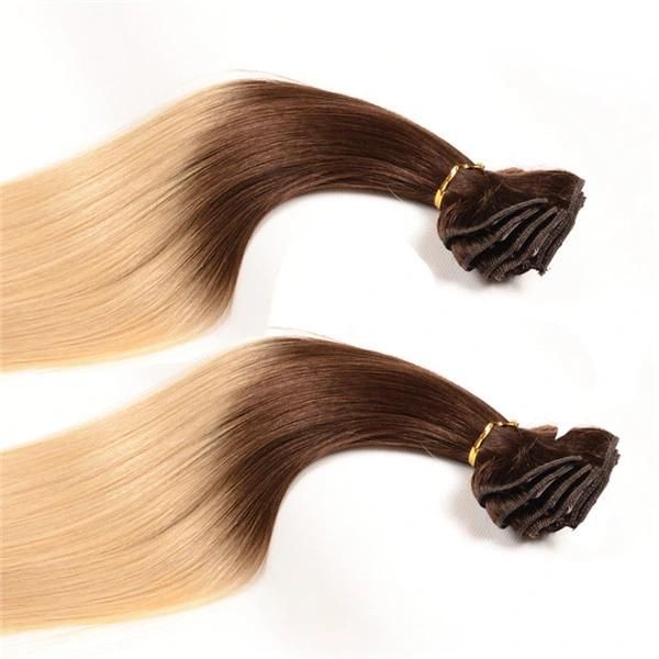 Two Tone Ombre Color Brazilian Virgin Hair Clip in Human Hair Extension
