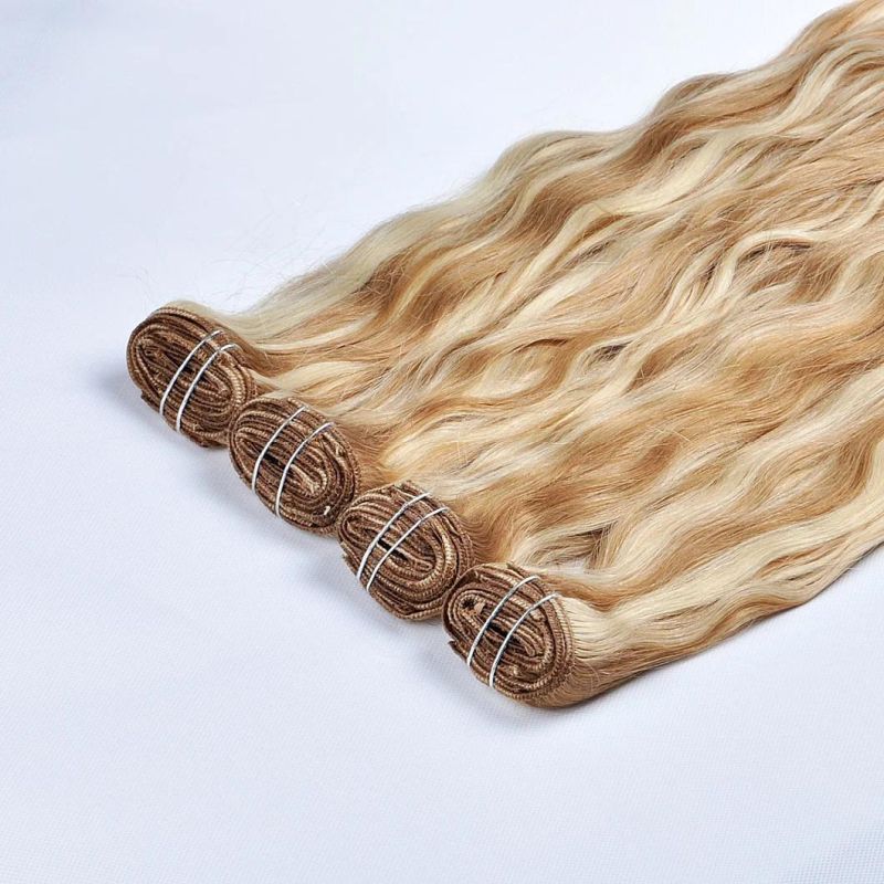 100% Virgin Hair Brazilian Hair Extension Clip in Human Hair Extension (AV-CH27)