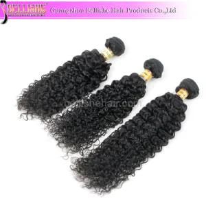 Wholesale Cheap 100% Virgin Brazilian Human Hair Kinky