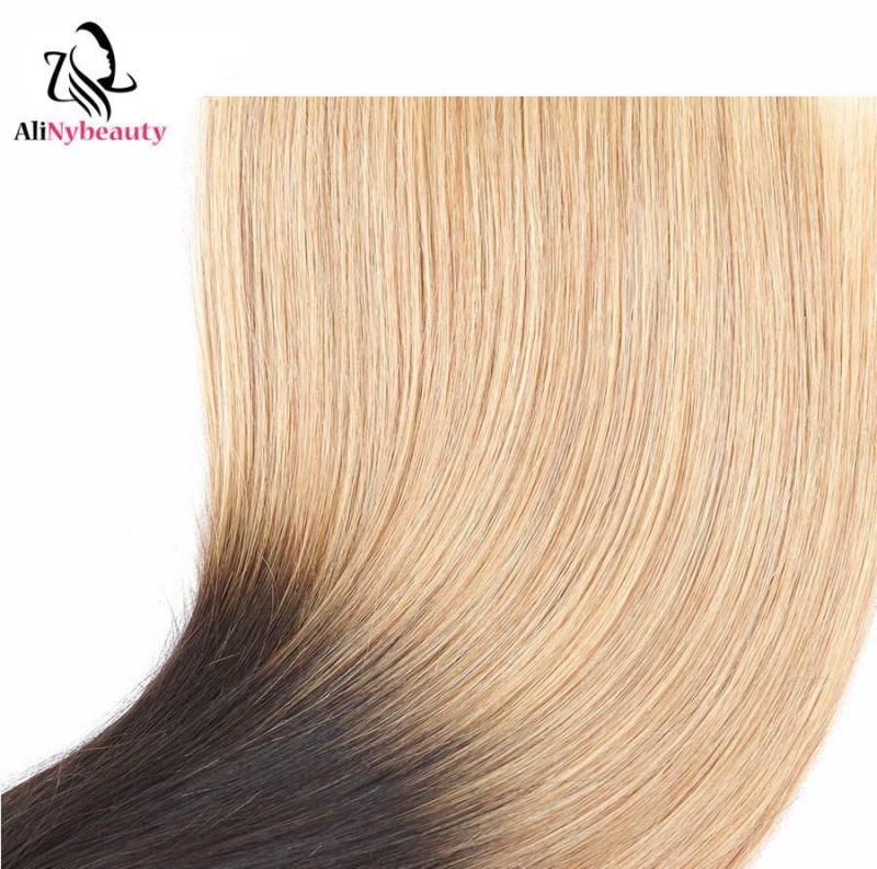 Alinybeauty 100% Remy Indian Human Hair 1b/27 Ombre Hair