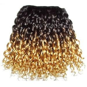 5A Grade Remy Virgin Human Hair Weft (weaving) Sc