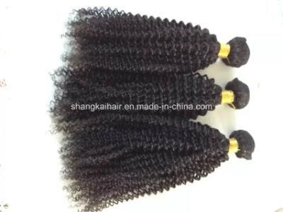 100% Human Hair Weft Brazilian Virgin Hair