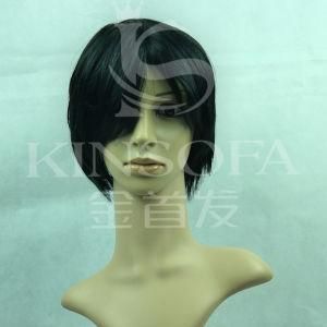 Human Hair Wigs Hot Sales