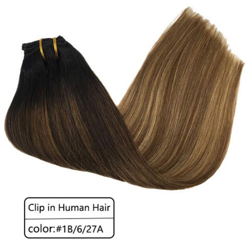 Clip in Brazilian Human Hair Extensions Full Head Remy Human Hair Straight Hair Extensions Multi Color 20 Inches