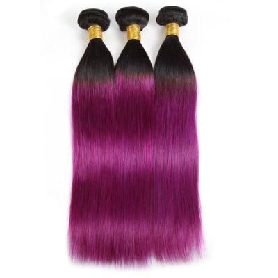 Bone Straight Human Hair Bundles Brazilian Hair Weave Extension #T1b/Purple