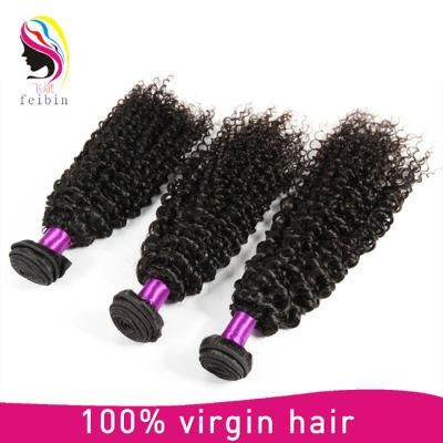 Wholesale Virgin Hair Kinky Curl Brazilian Human Hair Extension