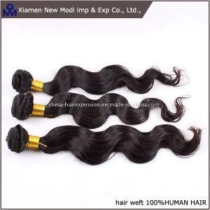 Human Remy Hair Weft with Hight Quality