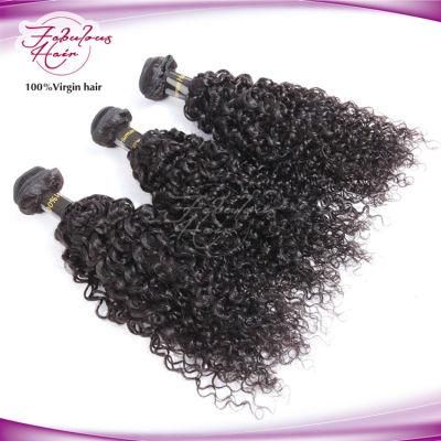 Machine Made Remy Hair Extensions Indian Curly Human Hair Weave