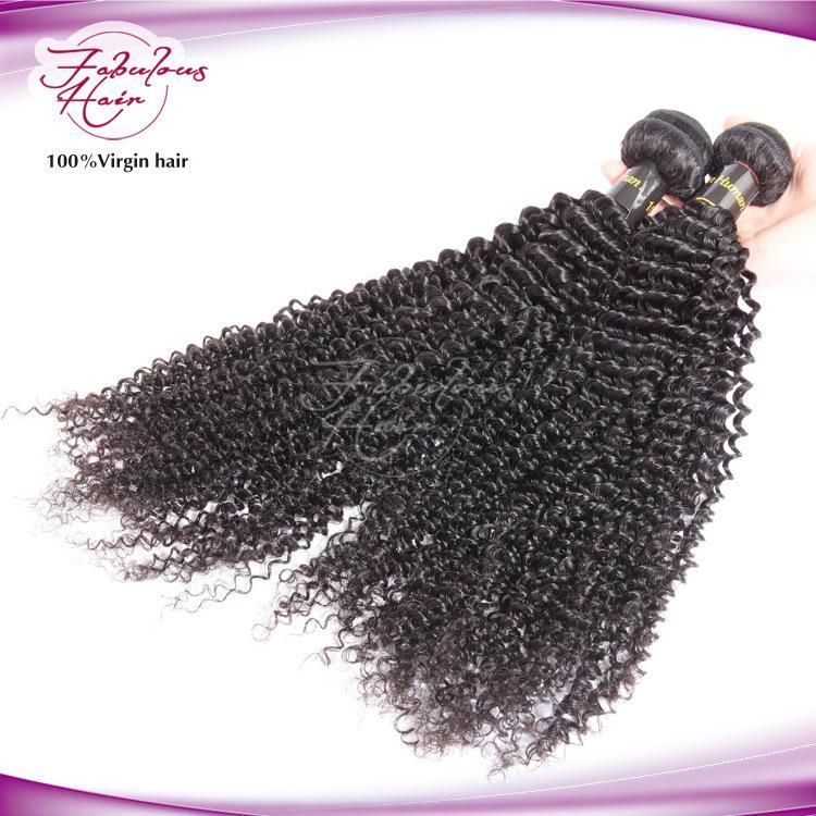 China Wholesale Kinky Curly Virgin Mink Hair