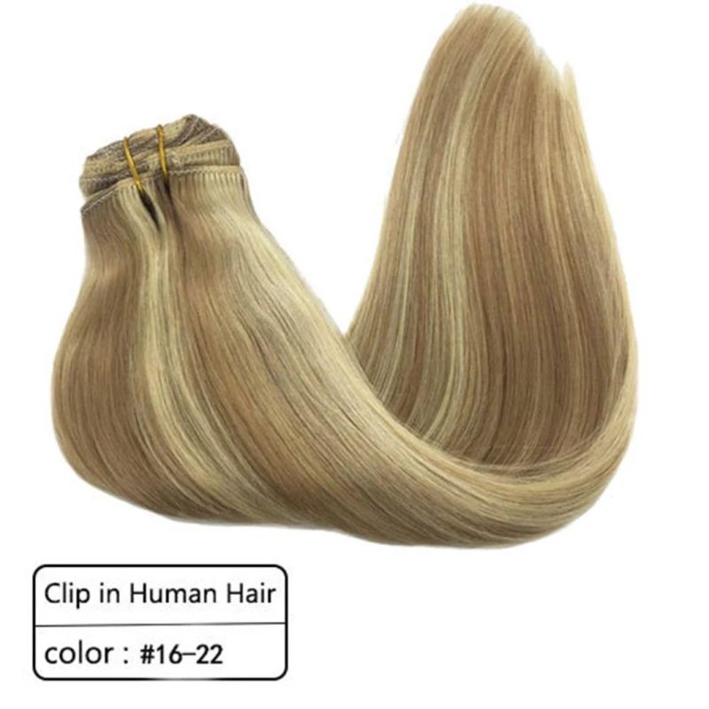 Brazilian Human Hair Extensions Full Head Clip in Remy Human Hair Straight Hair Extensions Multi Color 20 Inches Clip in